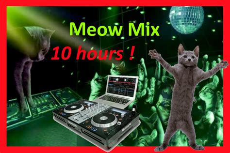 meow meow song 10 hours